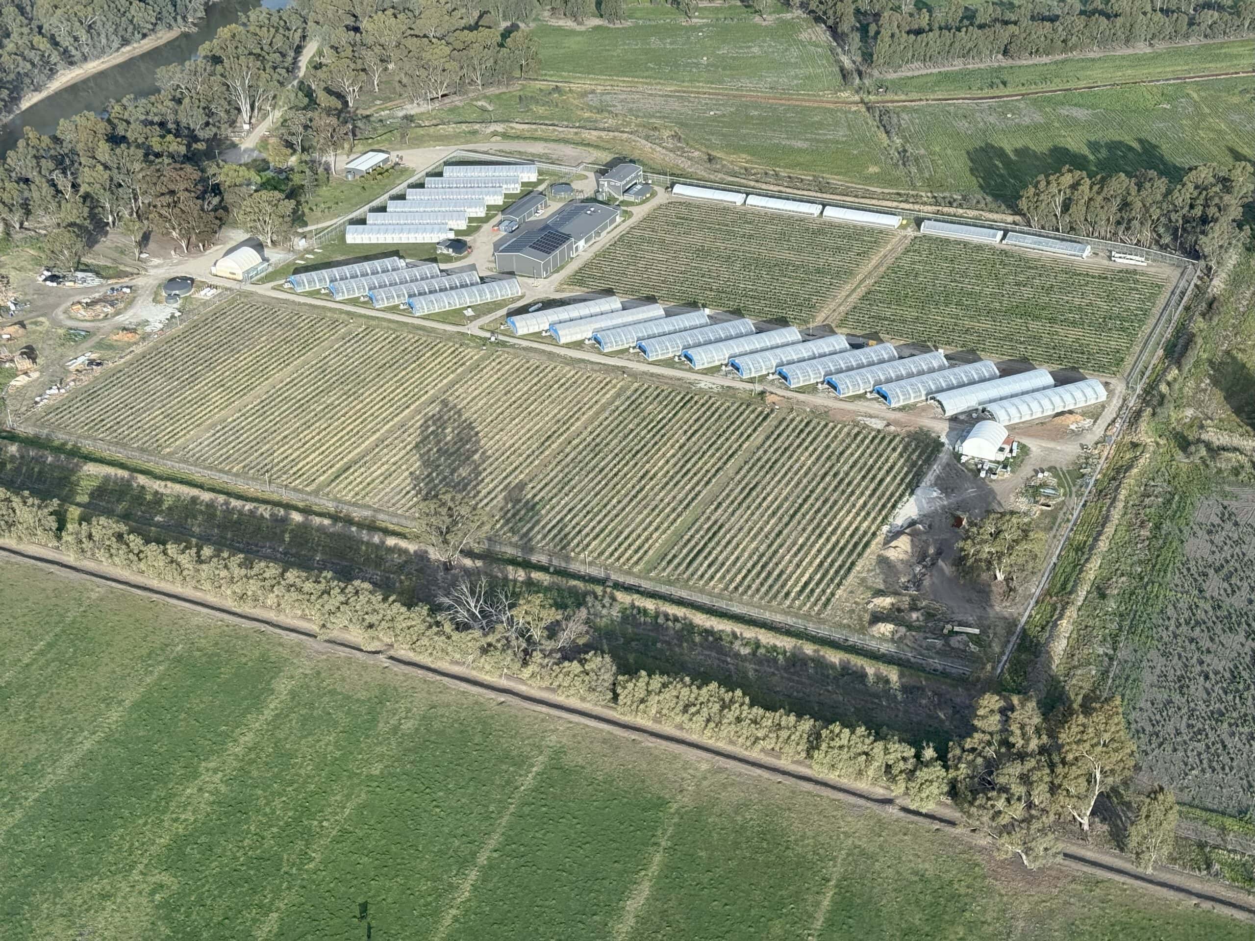 Widok z lotu ptaka na uprawy w Australii